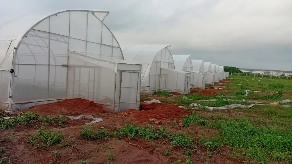 A row of completed greenhouse units, clad and with end walls in place, at an agricultural project site in South-West Nigeria.
