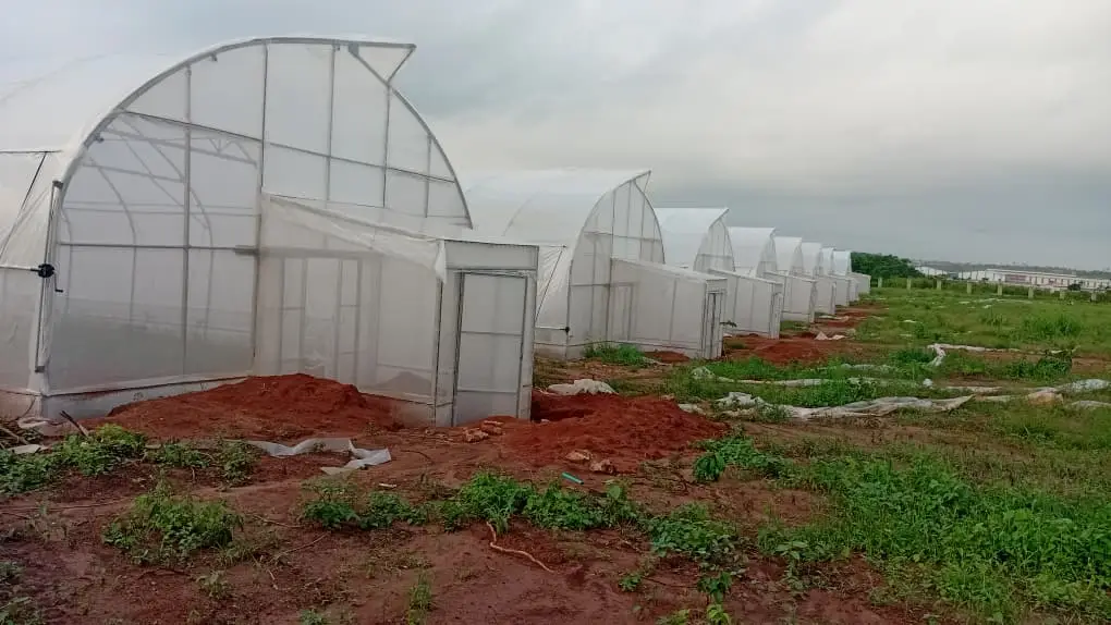 A row of completed greenhouse units, clad and with end walls in place, at the NALDA site in Shagamu, Ogun State.